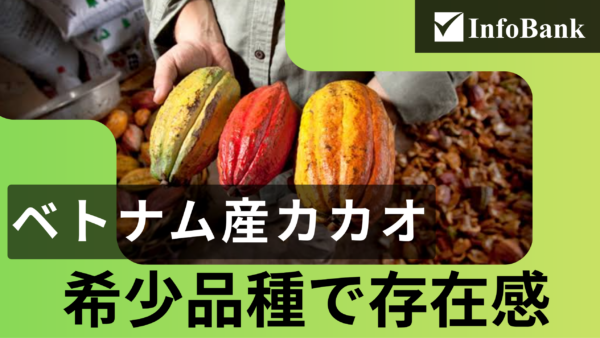 ベトナム産カカオ調達、希少品種で存在感高まる