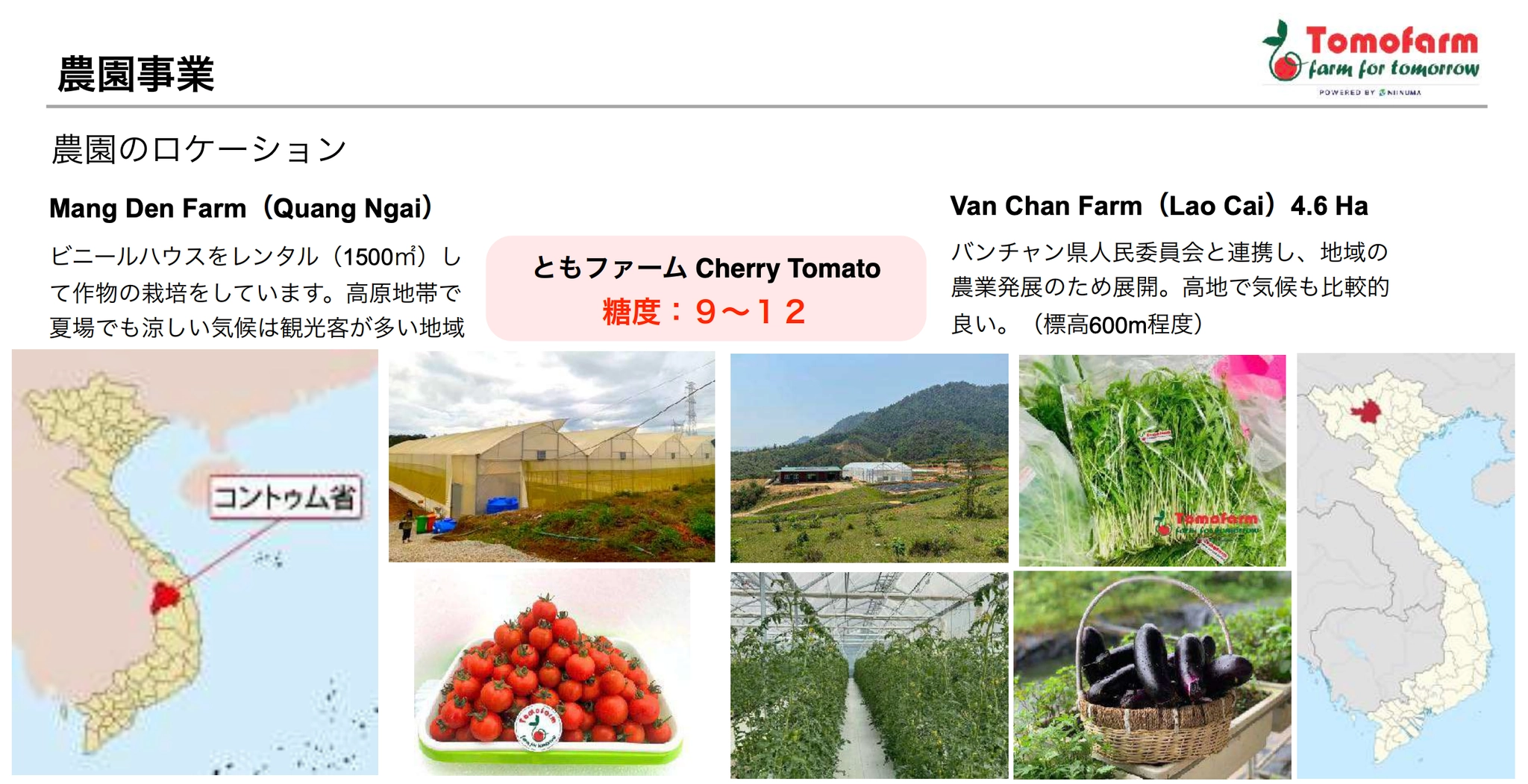 ベトナムでの農園展開（資料提供）NIINUMA TOMOFARM CO., LTD