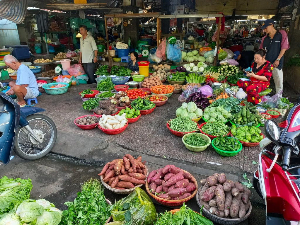 ベトナムの代表的な伝統小売市場の様子（出所）Vietnam Coracle