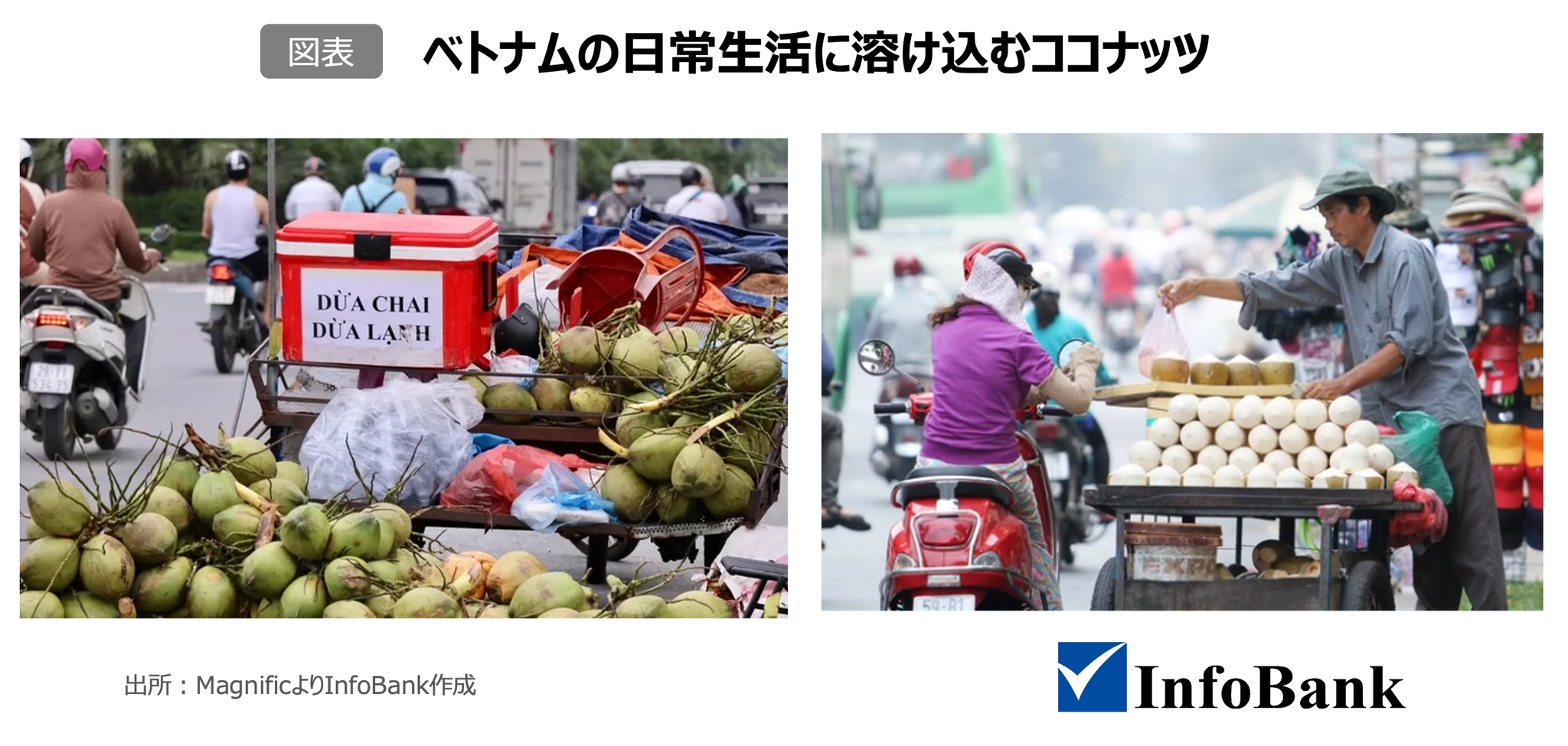 ベトナムの日常生活に溶け込むココナッツ