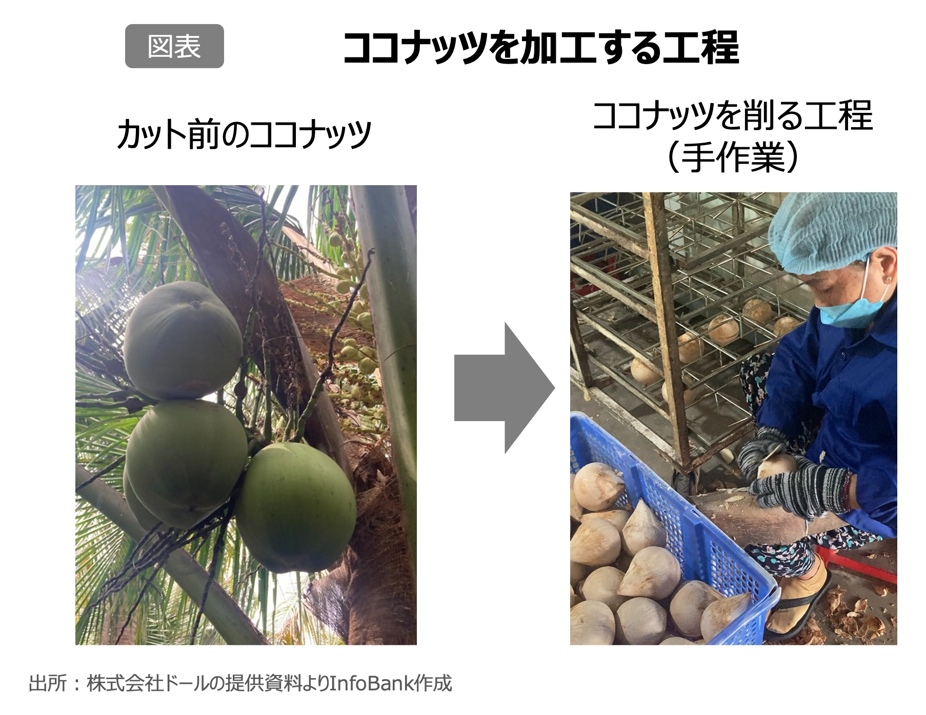 ココナッツを加工する工程